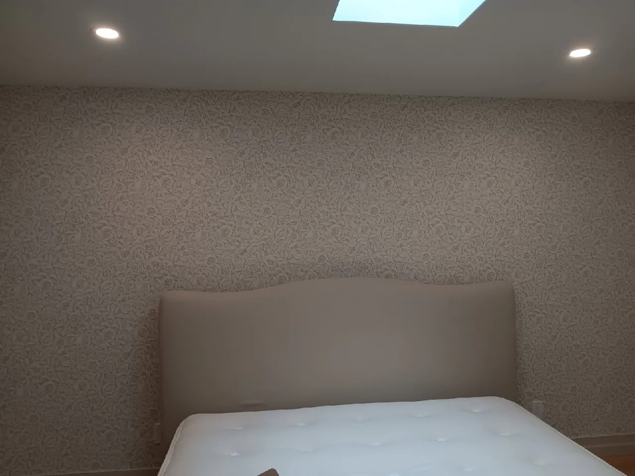 Professional wallpaper installation in Thornton, CO